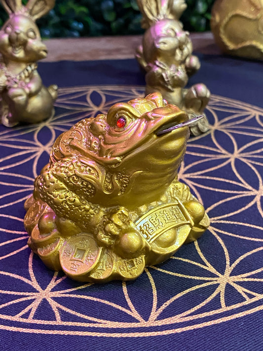 Feng Shui Money Frog with Coin