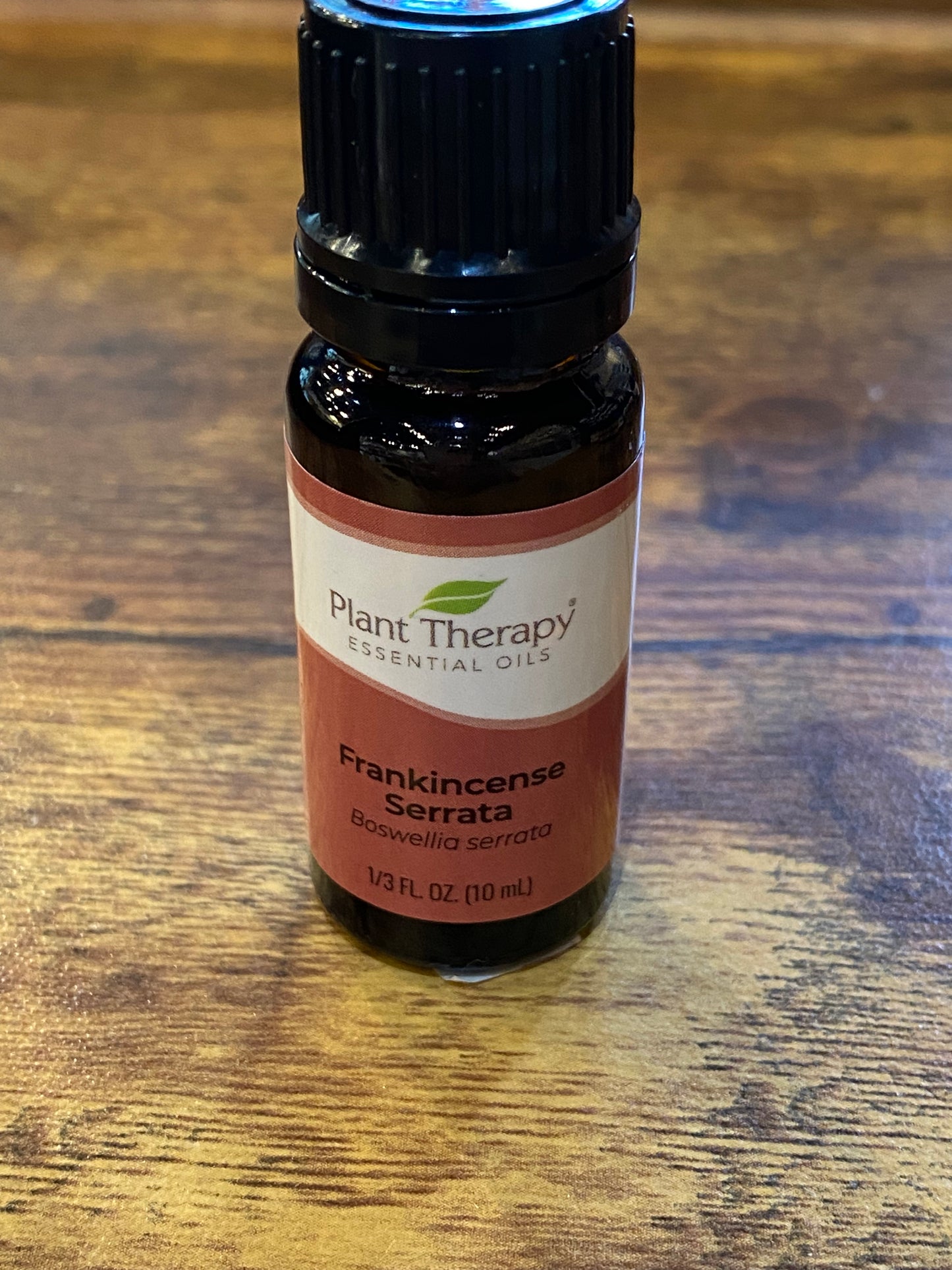 Plant Therapy Organic Frankincense Serrata Essential Oil 10 Ml