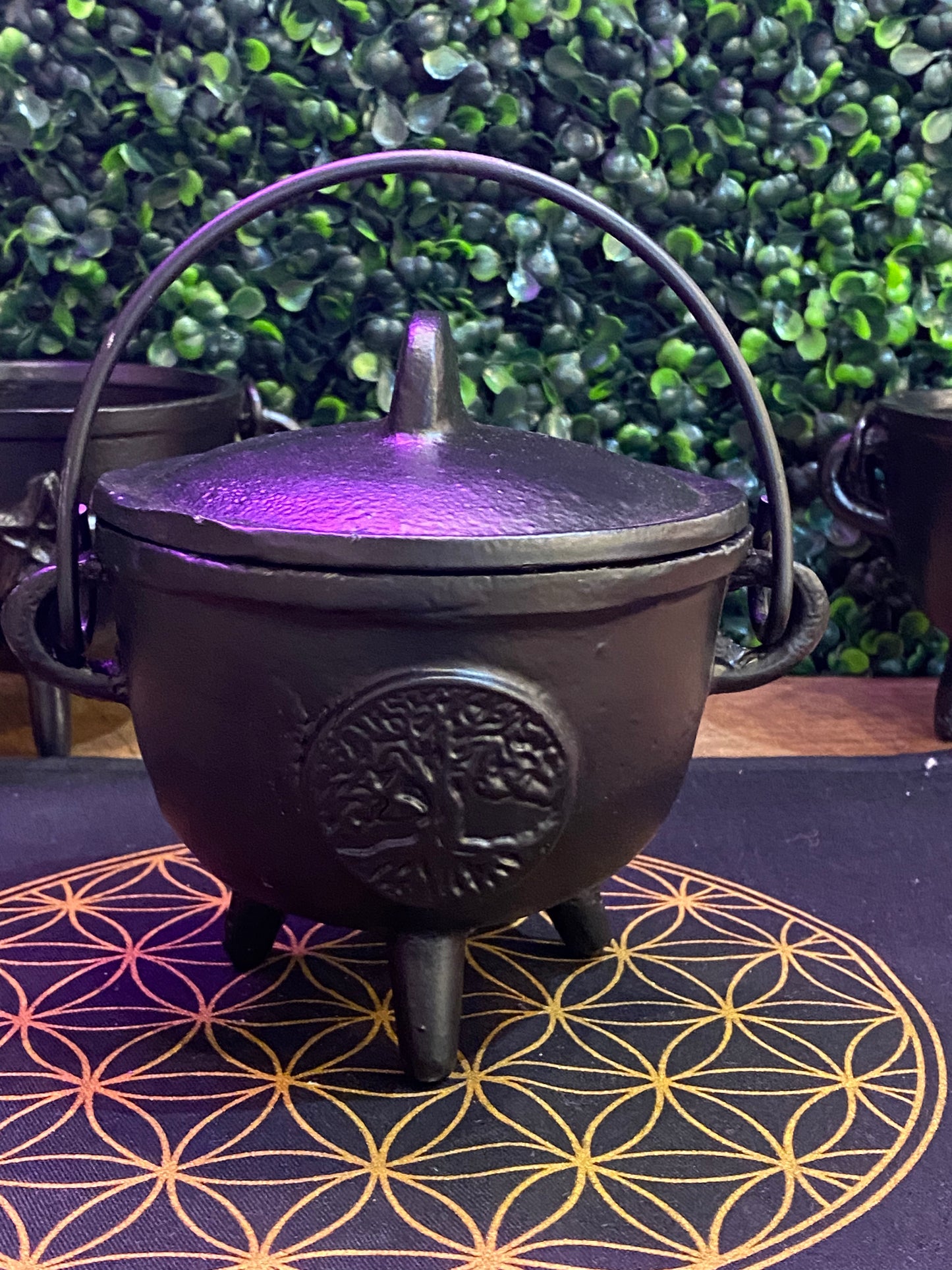 Tree Of Life Cast Iron Cauldron w/Lid