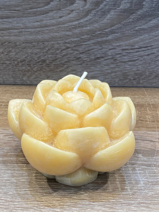 Beeswax Lotus Flower