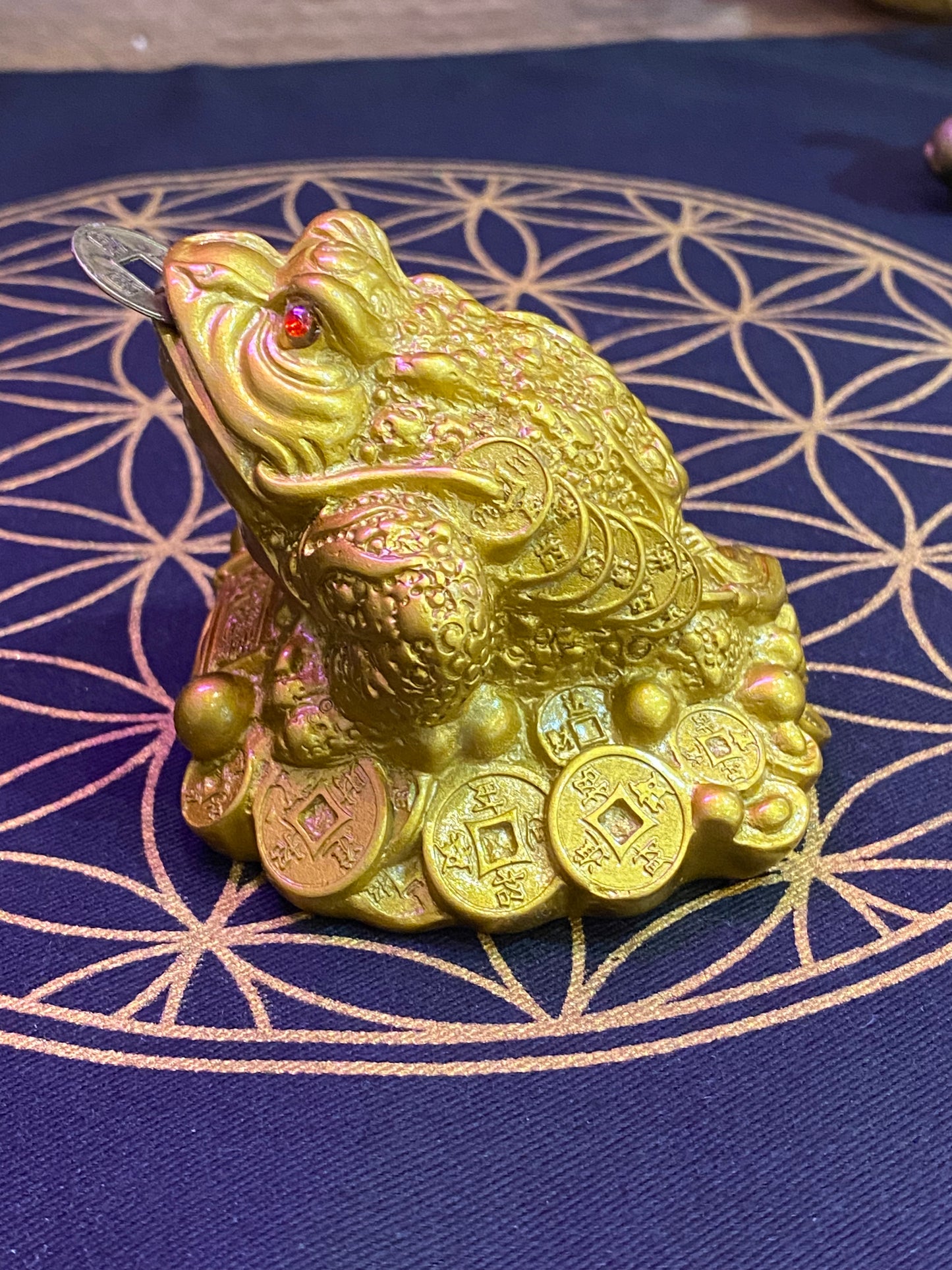 Feng Shui Money Frog with Coin