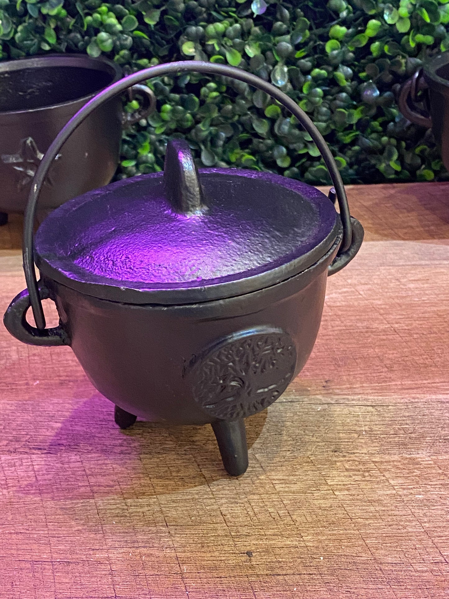 Tree Of Life Cast Iron Cauldron w/Lid