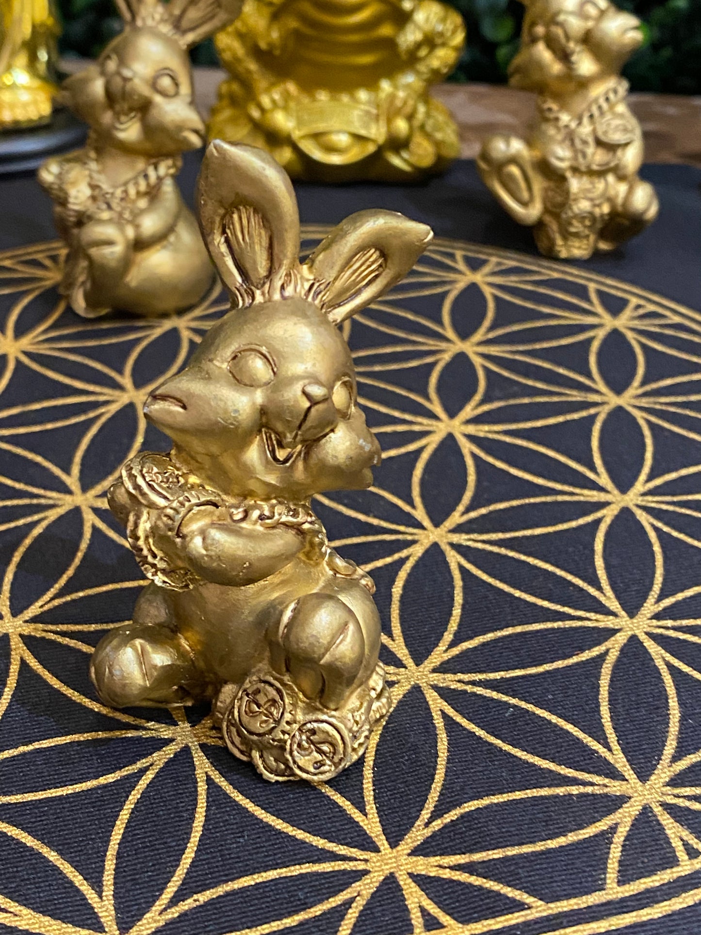 Good Luck and Good Fortune (each)Rabbit