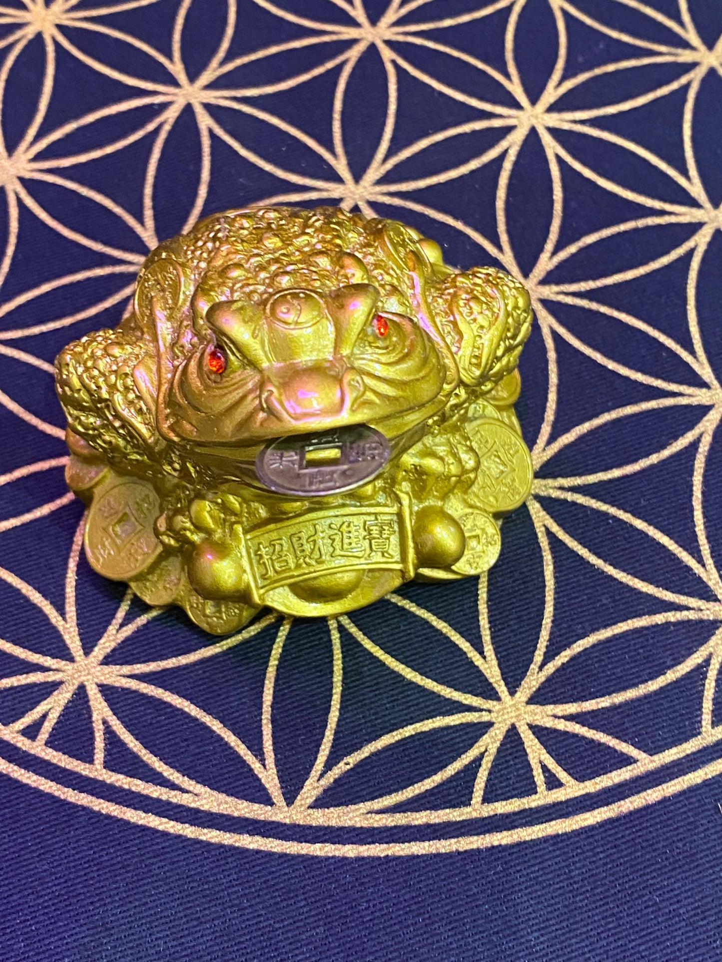 Feng Shui Money Frog with Coin