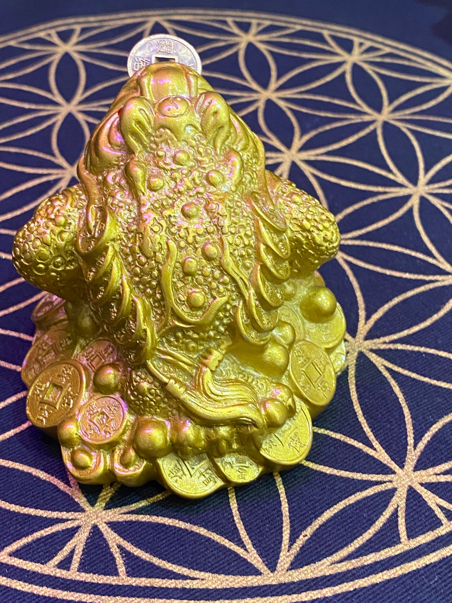 Feng Shui Money Frog with Coin