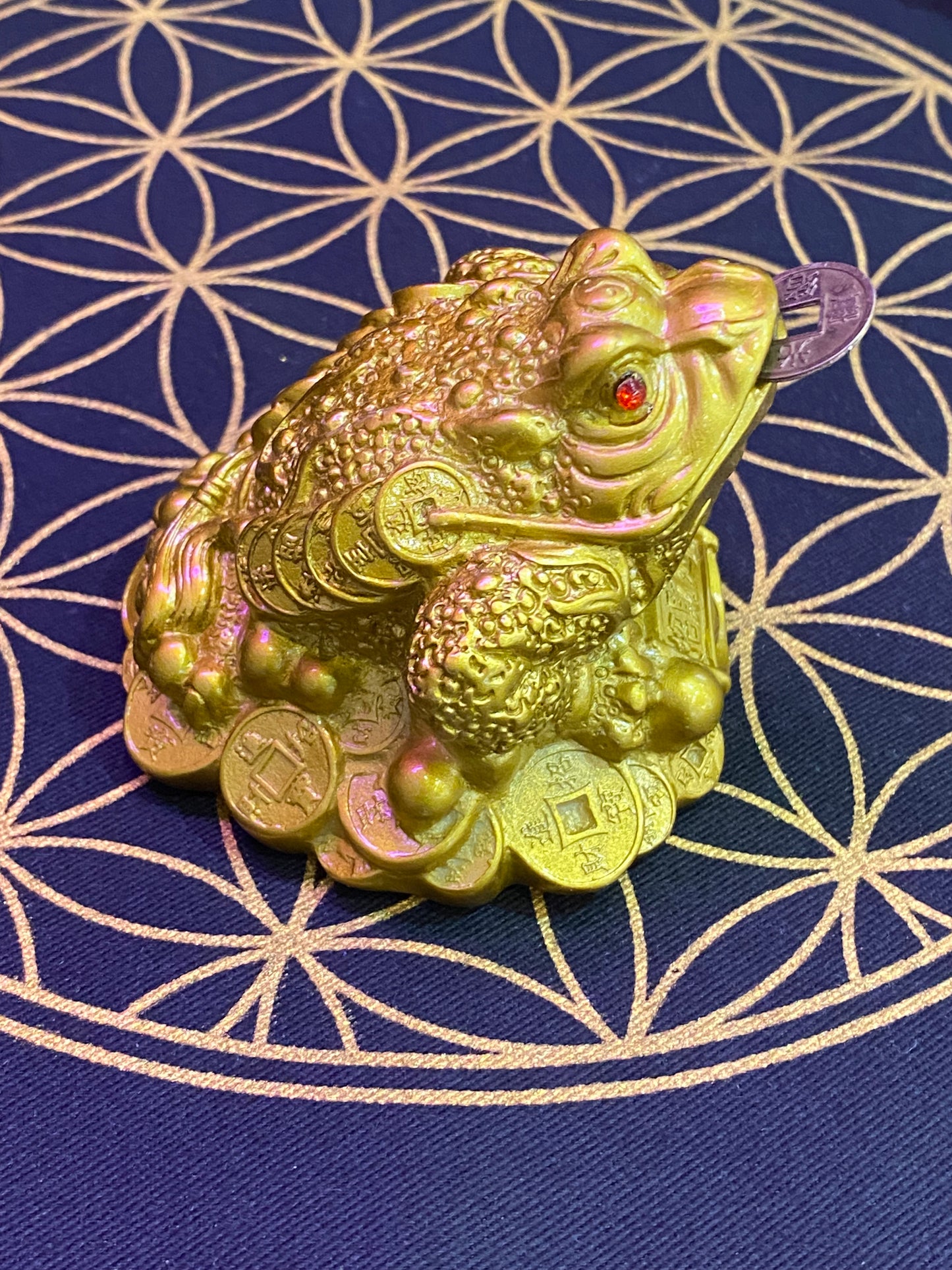 Feng Shui Money Frog with Coin