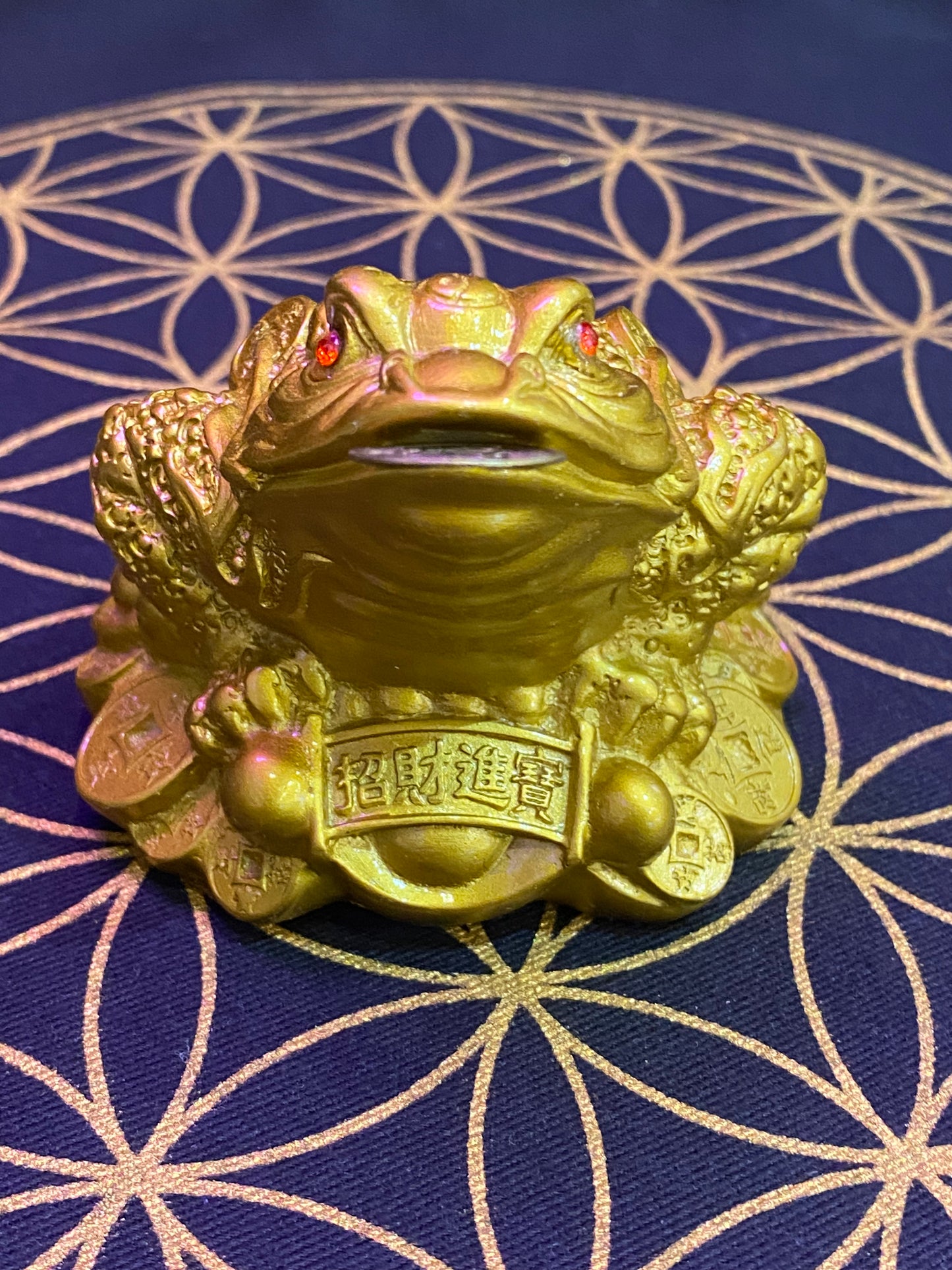 Feng Shui Money Frog with Coin