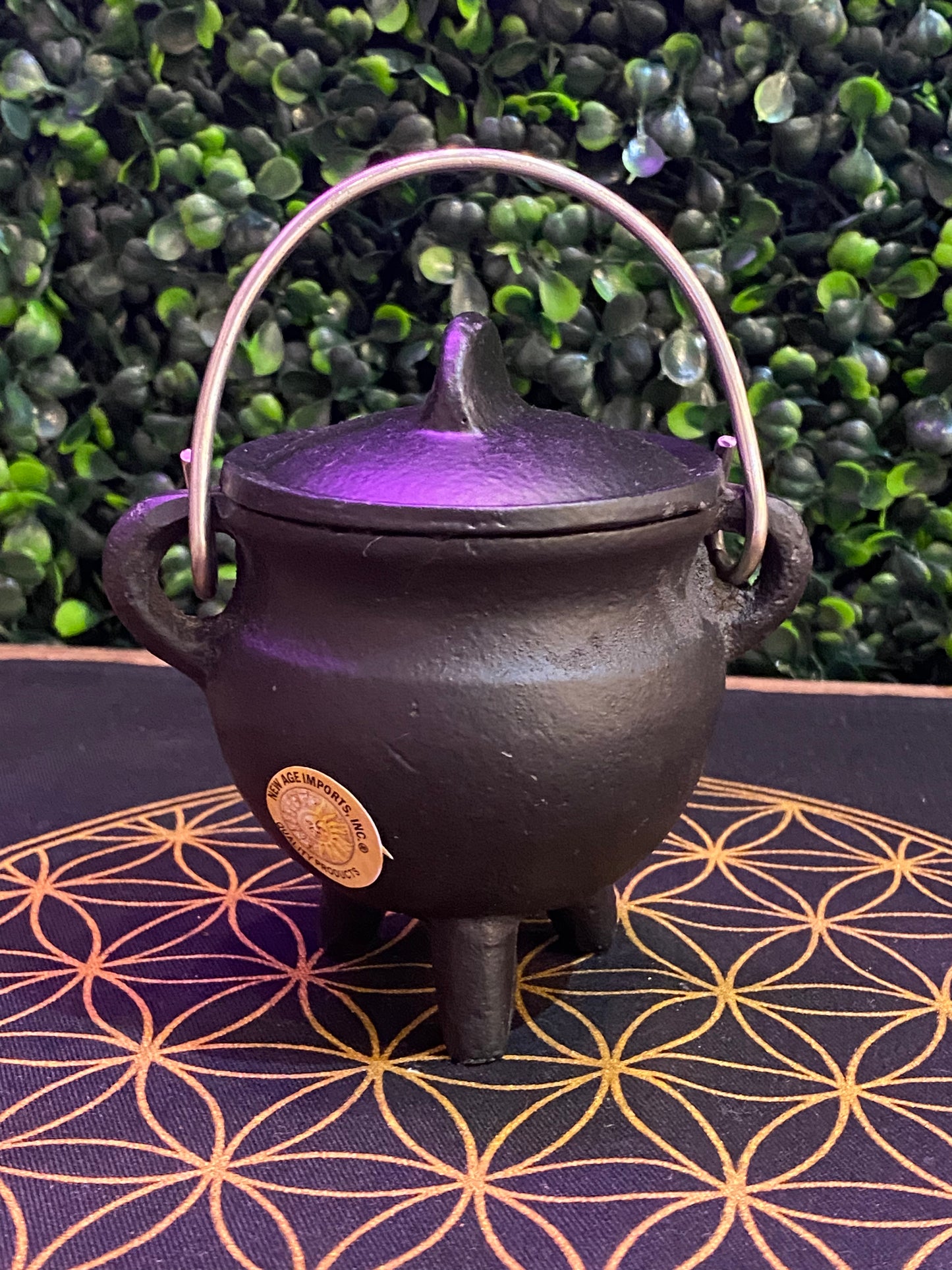 Plain Cast Iron Cauldron With Silver Handle