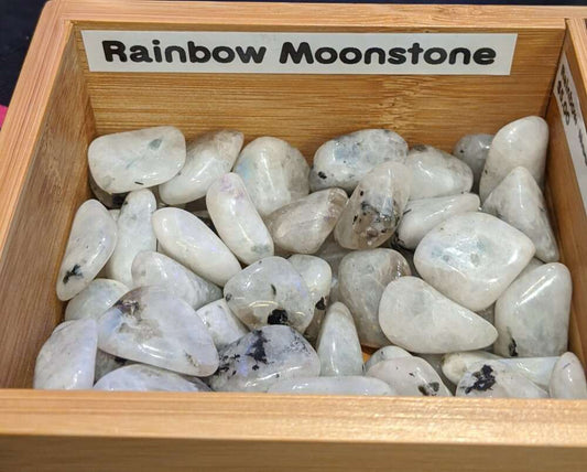 Rainbow Moonstone tumbled stones in a wooden box.