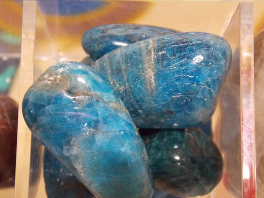 Blue Apatite Tumbled (large) - Healing Lotus Shop