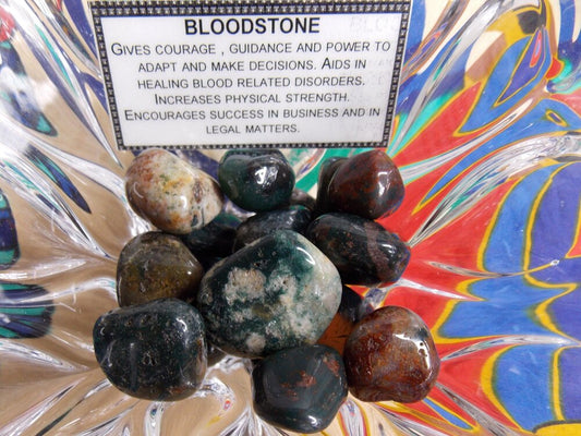 Bloodstone (dime size) - Healing Lotus Shop