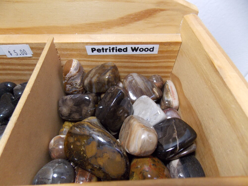 Petrified Wood Tumbled Stones, Healing Lotus Shop