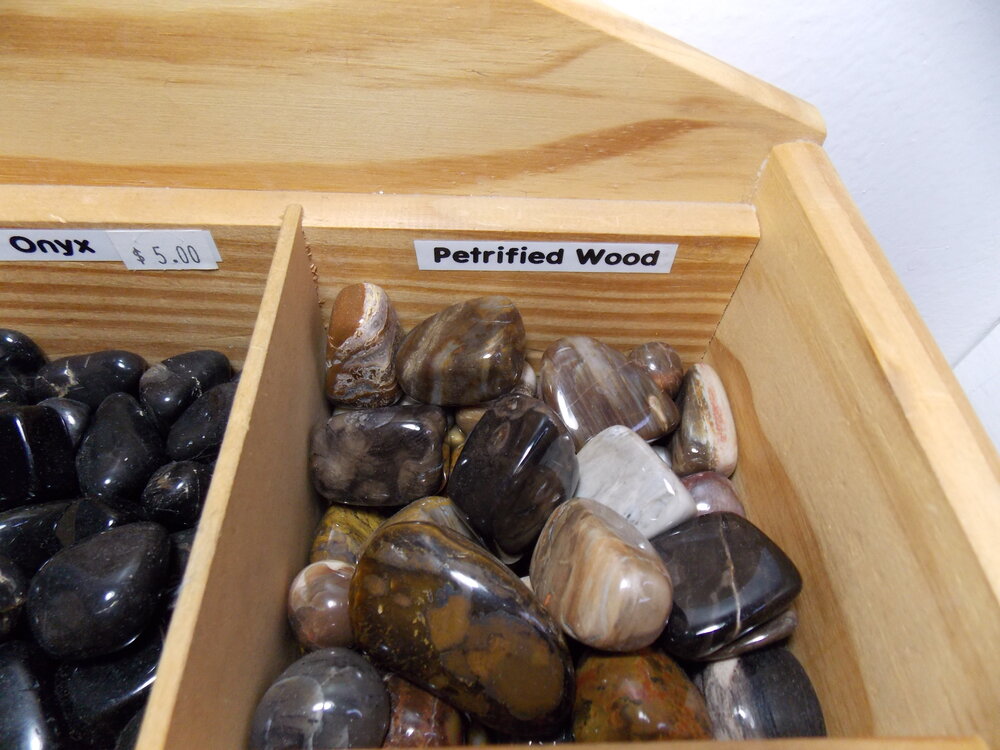 Petrified Wood Tumbled Stones, Healing Lotus Shop