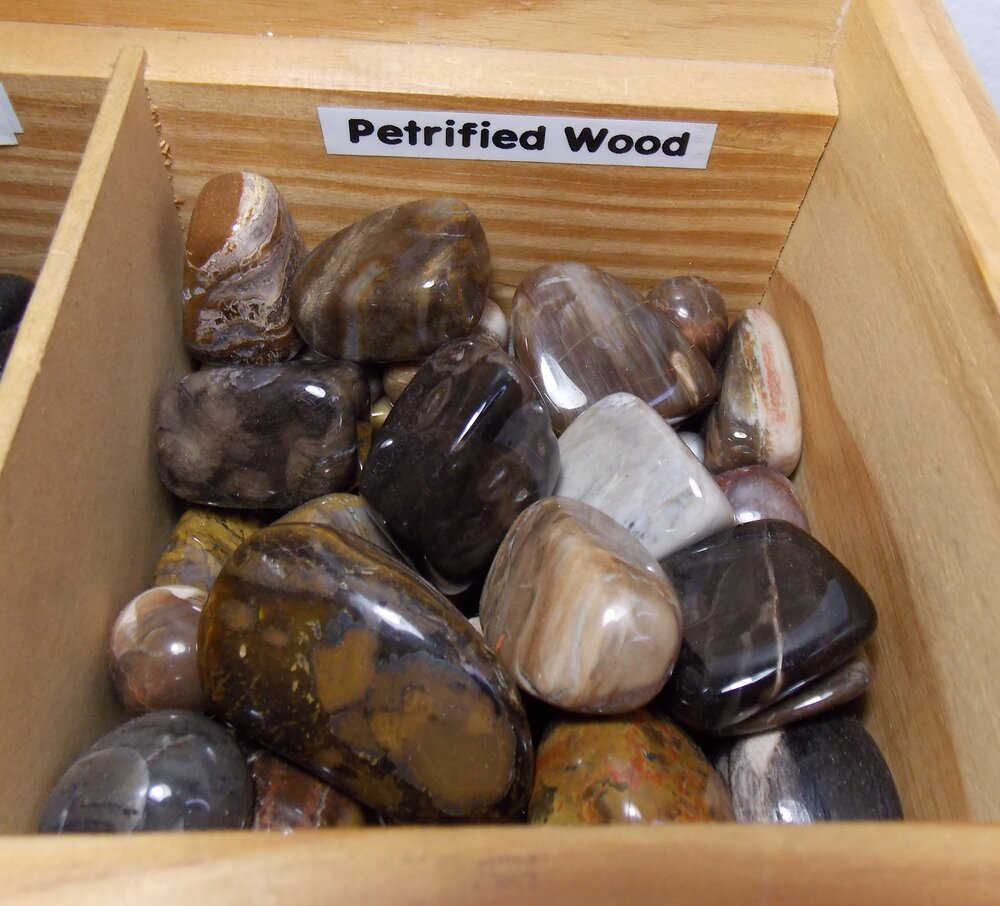 Petrified Wood Tumbled Stones, Healing Lotus Shop